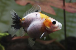 상품 섬네일