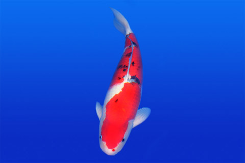 상품 섬네일