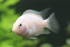 상품 섬네일