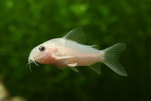 상품 섬네일