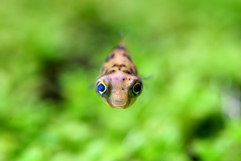 상품 섬네일