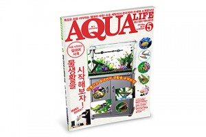 상품 섬네일