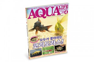 상품 섬네일
