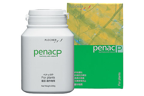 ADA ペナックP 絶版・入手困難・レア品】ADA penac A ぺナックA