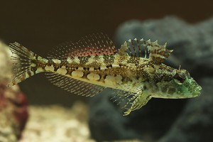 상품 섬네일