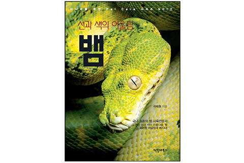 [선과 색의 어울림 뱀]